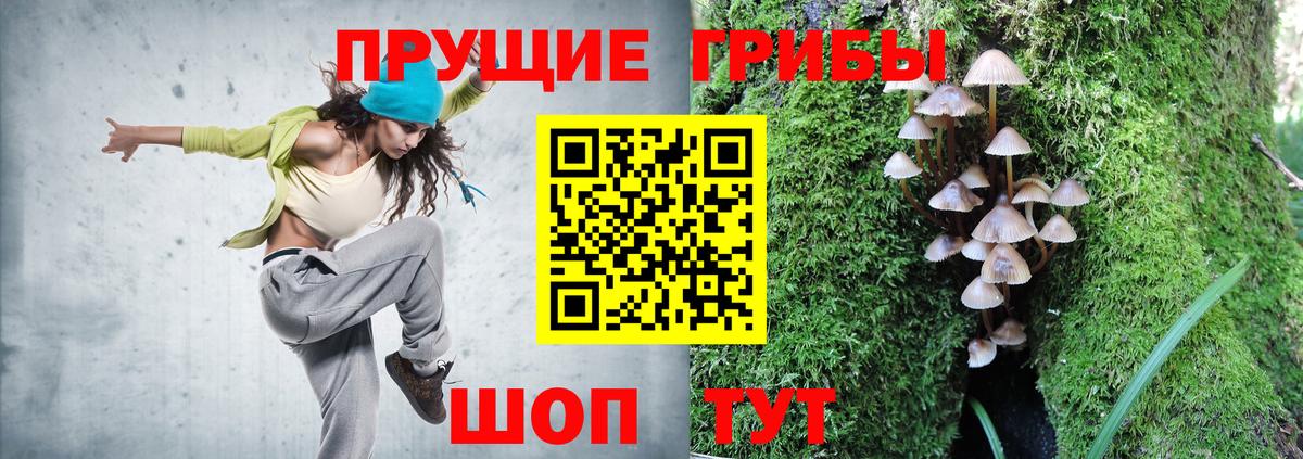 Псилоцибиновые грибы Cubensis Михайловка